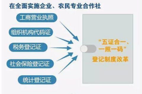 回顾“多证合一”上海注册公司可以享哪些便利呢？