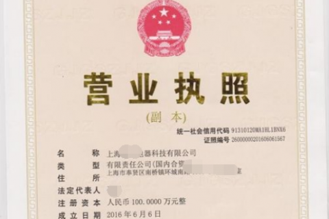 设立上海有限责任公司条件有哪些？