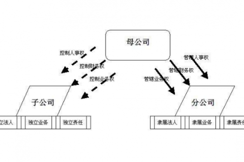 在上海设立分公司需要准备哪些材料？